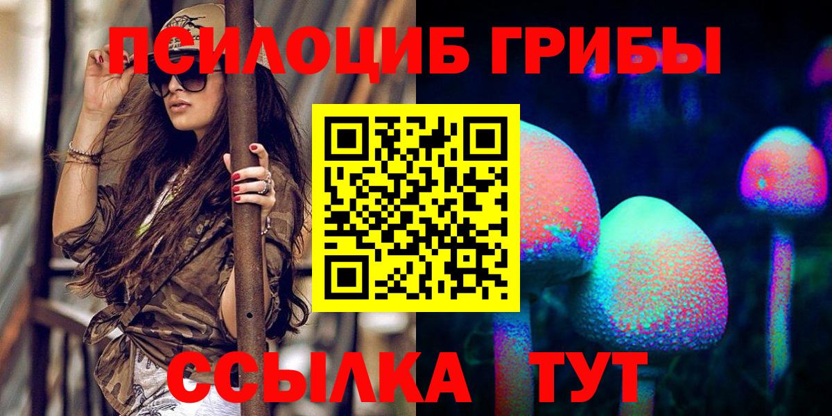 Галлюциногенные грибы Psilocybine cubensis Железногорск