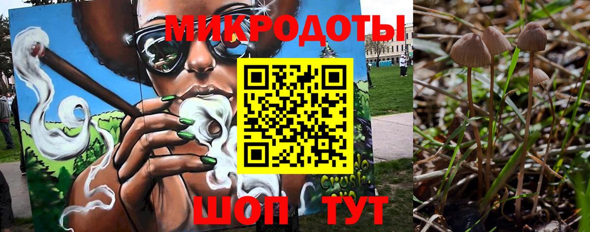 Псилоцибиновые грибы Psilocybine cubensis  Вход с VPN  Железногорск 